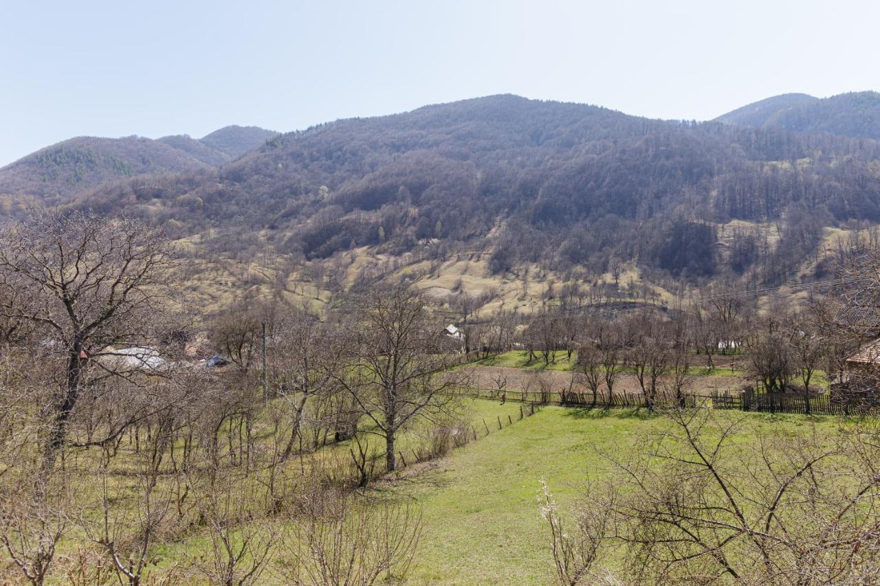 Nook Of Nature Basca Rozilei Εξωτερικό φωτογραφία